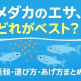 メダカの健康を守る！おすすめのエサと選び方ガイド