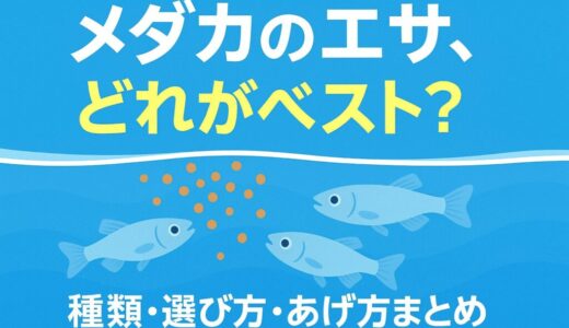 メダカの健康を守る！おすすめのエサと選び方ガイド