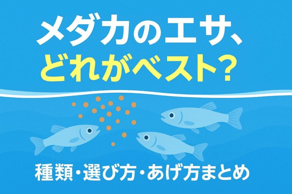 メダカの健康を守る！おすすめのエサと選び方ガイド