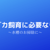 メダカの飼育に必要なもの。水槽のお掃除に