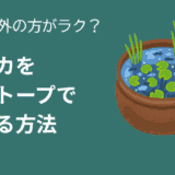 実は屋外のほうがラク？メダカをビオトープで育てる方法