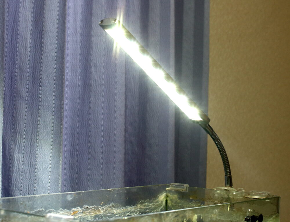 水槽の照明