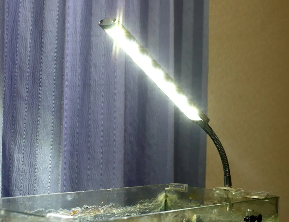 水槽の照明