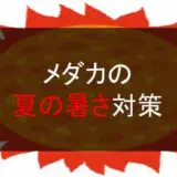メダカの夏の暑さ対策