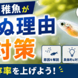 メダカ稚魚が死ぬ理由と対策。生存率を上げよう
