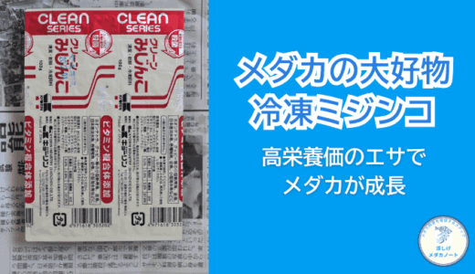 冷凍ミジンコは高栄養でメダカの良いエサ