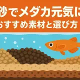 メダカ飼育オススメの底砂