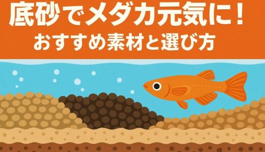 メダカ飼育オススメの底砂