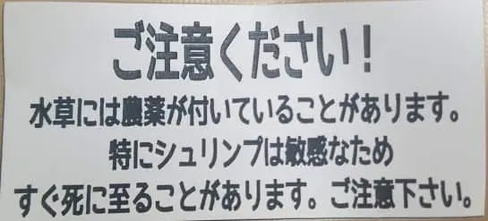 農薬に注意