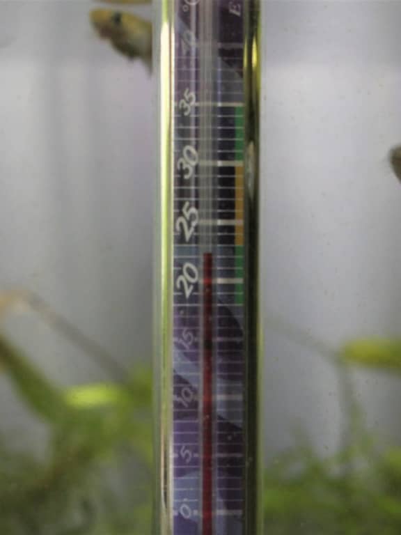 水槽用の温度計