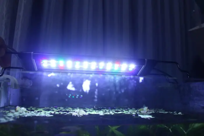 メダカ水槽の照明