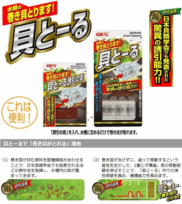 貝とーる