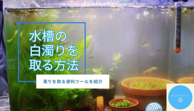 水槽の白濁りを取る方法