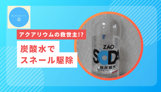 炭酸水でスネール駆除