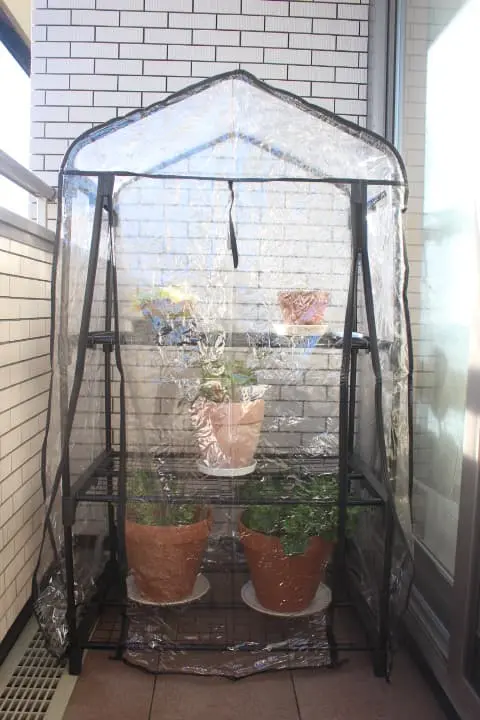 完成したビニール温室