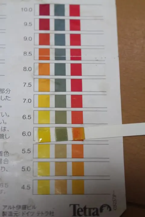 テトラテスト 試験紙 pH