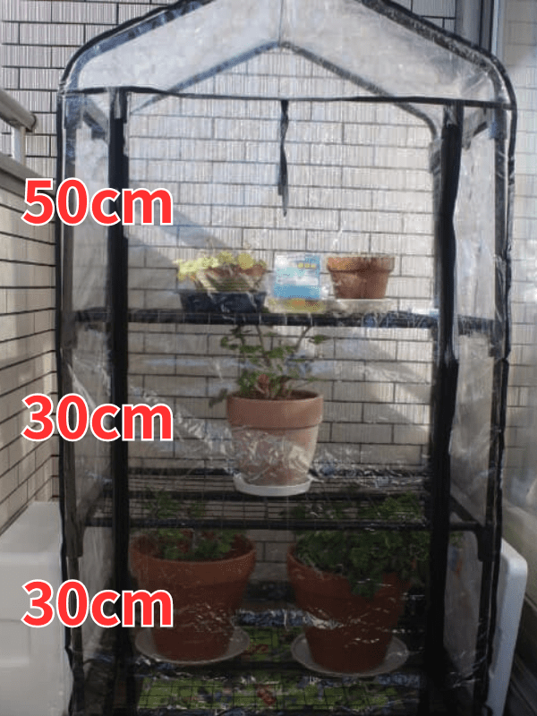 ビニール温室に入る植物の高さ