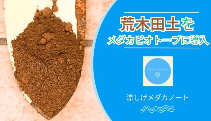 荒木田土をメダカビオトープに導入