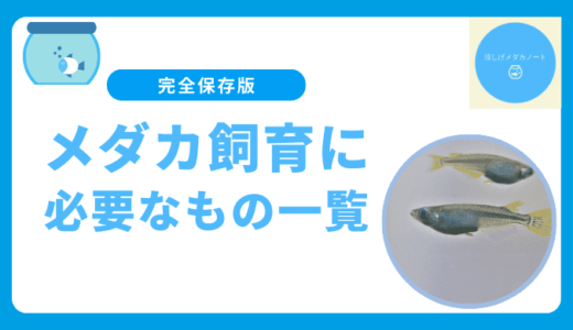 メダカの水槽に入れるといいもの・飼育に必要なものまとめ
