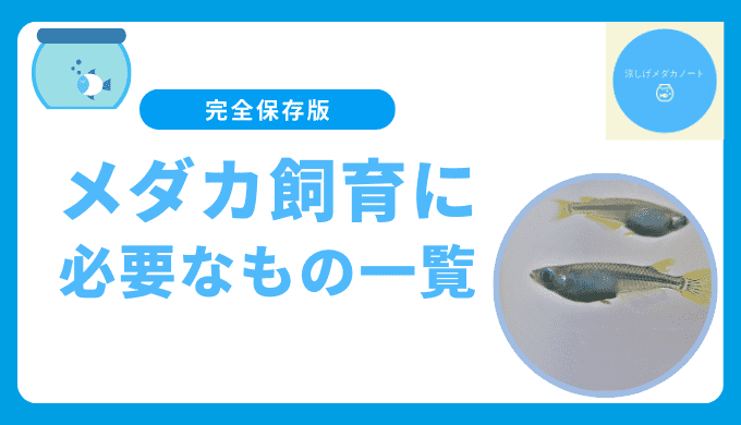 メダカ飼育に必要なもの