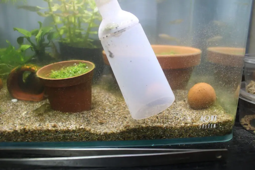 水換え用のホース