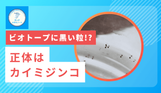 カイミジンコ