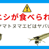 ヤマトヌマエビがタニシを食べた