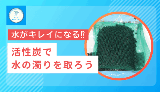 水がキレイになる!?メダカ水槽に活性炭を入れてみた