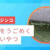 ケンミジンコ