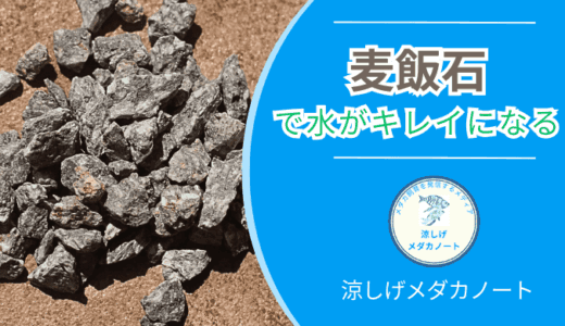 メダカ水槽の水をキレイにする！麦飯石の効果を解説