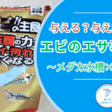 【メダカ飼育×エビ混泳】エビにエサは必要？イトスイの主食で検証！
