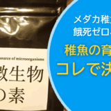 メダカの稚魚の生存率アップ！稚魚育成に効く微生物の素の使い方