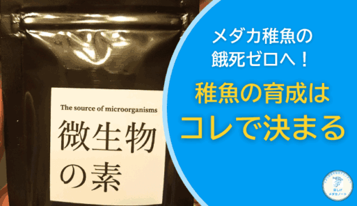 メダカの稚魚の生存率アップ！稚魚育成に効く微生物の素の使い方