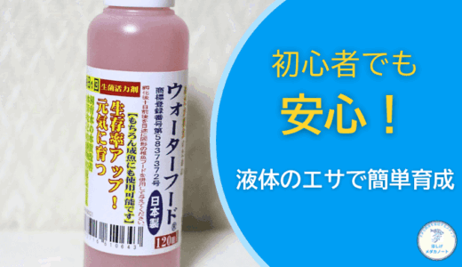 稚魚の餓死を防ぐ！メダカ育成に最適なウォーターフードとは