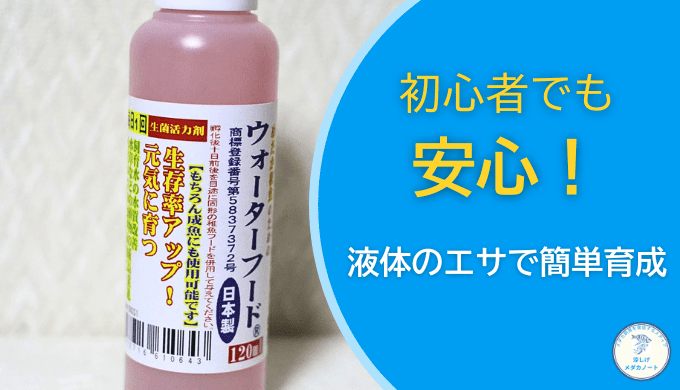 稚魚の餓死を防ぐ！メダカ育成に最適なウォーターフードとは