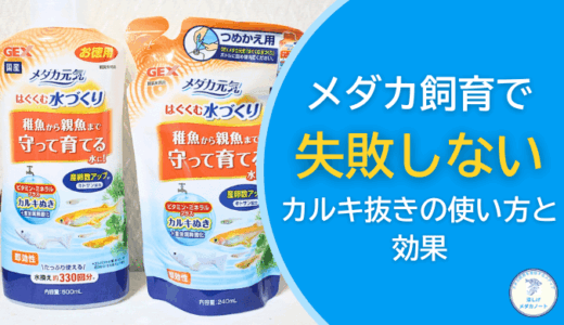 初心者必見！メダカ飼育で失敗しないカルキ抜きの使い方と効果