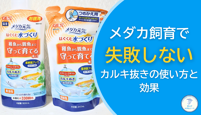 メダカ飼育で失敗しないカルキ抜きの使い方と効果
