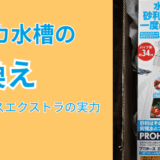 水換えがラクになる!メダカ飼育に人気のポンプ「プロホースエクストラ」の魅力を解説