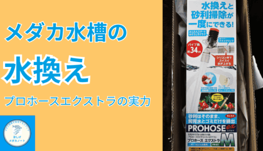 水換えがラクになる！メダカ飼育に人気のポンプ「プロホースエクストラ」の魅力を解説