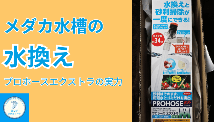 水換えがラクになる！メダカ飼育に人気のポンプ「プロホースエクストラ」の魅力を解説