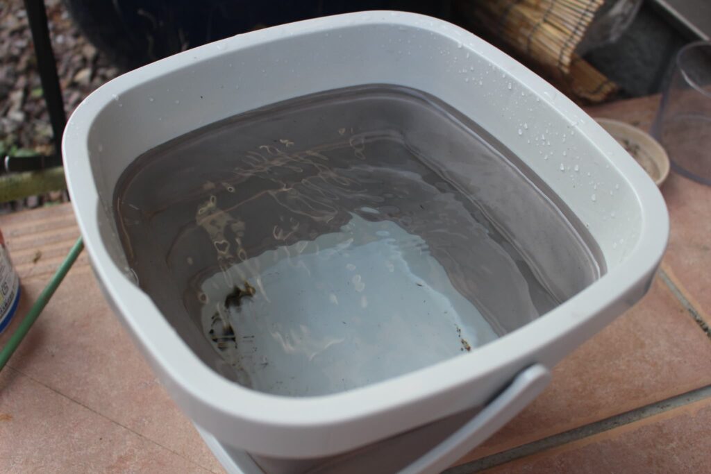水換えに使うバケツ