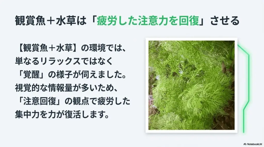 アクアリウムによる癒し効果