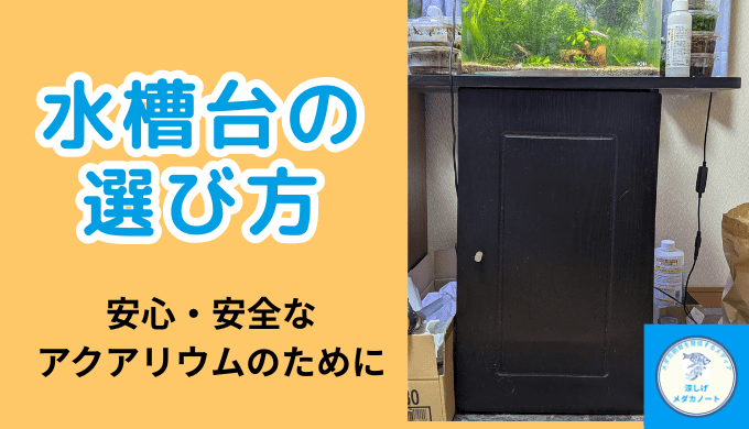 水槽台の選び方とおすすめレビュー｜失敗しないアクアリウム設置ガイド