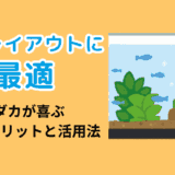 水槽レイアウトに最適!メダカが喜ぶ流木のメリットと活用法