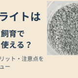 【ゼオライトの水槽効果】メダカ飼育で本当に使える？特徴・メリット・注意点を徹底レビュー