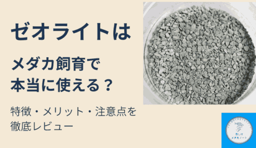 メダカ飼育初心者必見！ゼオライトの効果と使い方を徹底解説