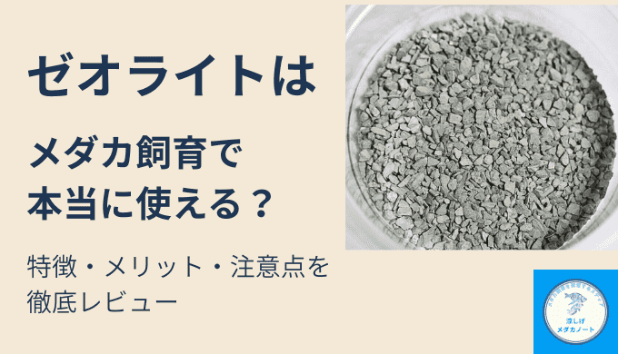 【ゼオライトの水槽効果】メダカ飼育で本当に使える？特徴・メリット・注意点を徹底レビュー