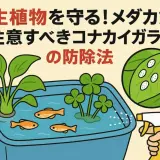 水生植物に白い粉⁉メダカ飼育で注意すべきコナカイガラムシの防除法」