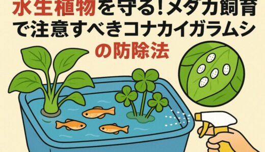 水生植物に白い粉⁉メダカ飼育で注意すべきコナカイガラムシの防除法」
