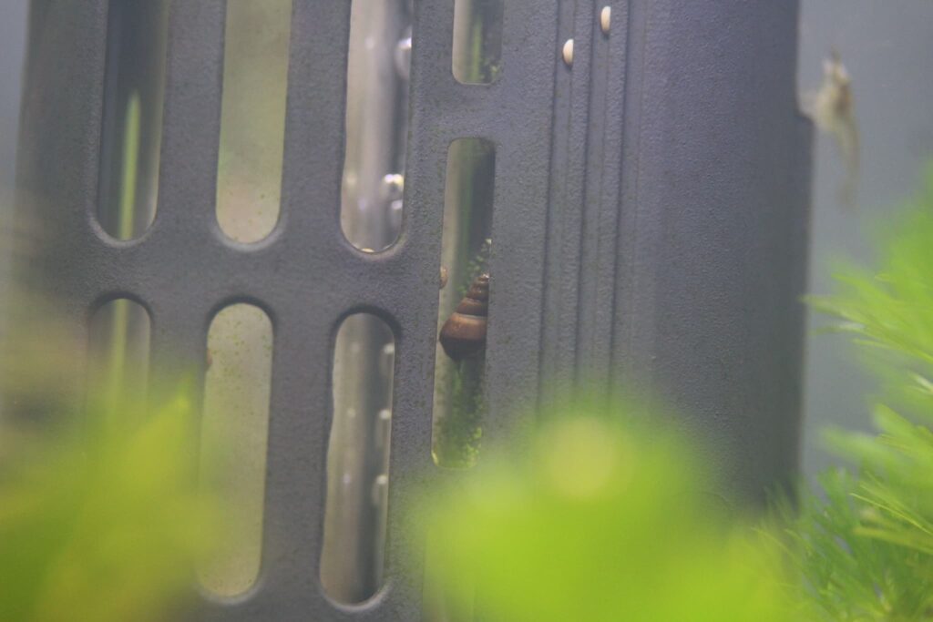 GEX「メダカ元気オートヒーターSH55」